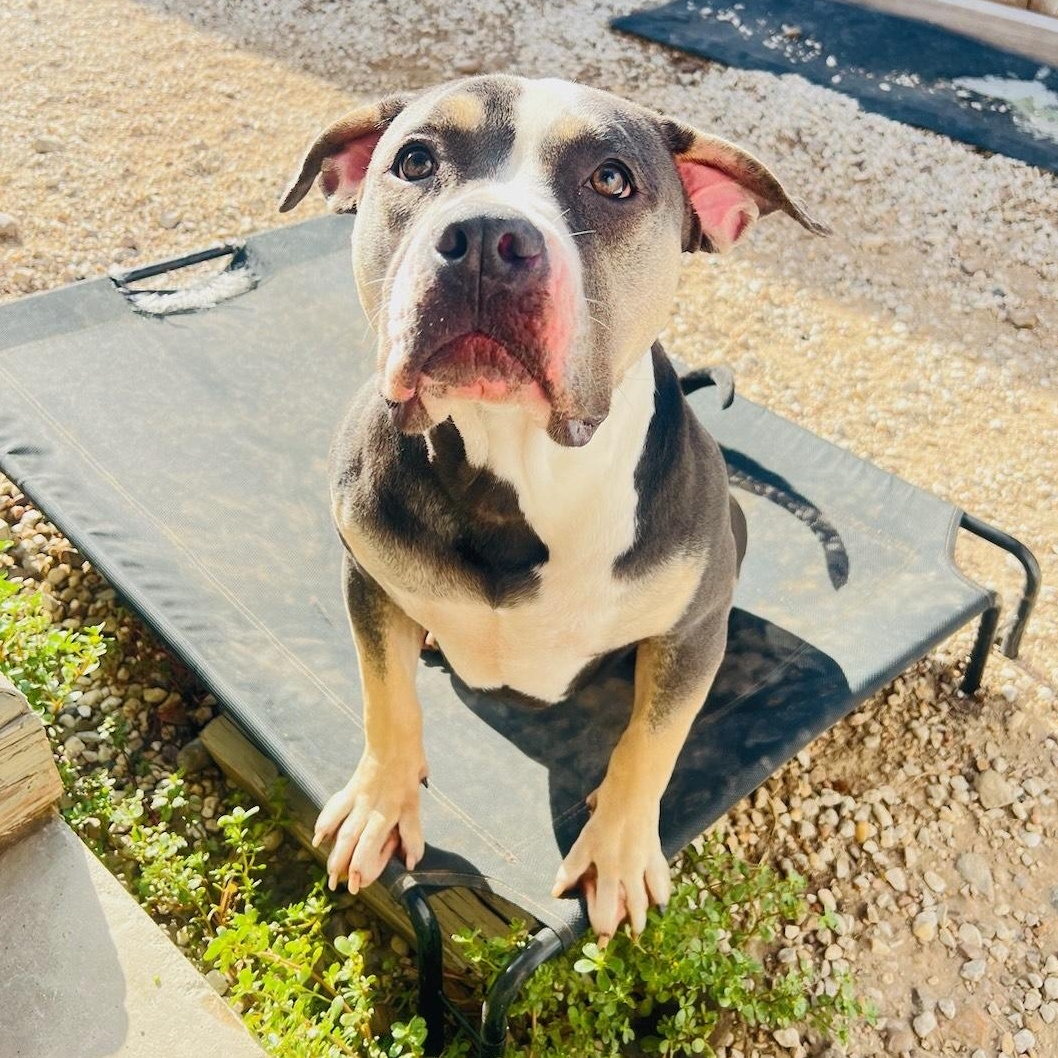 Miss Pickles photo 2