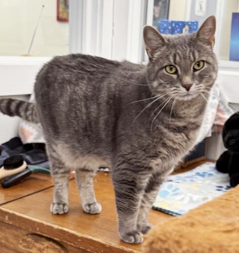 Storm — thumbnail 2