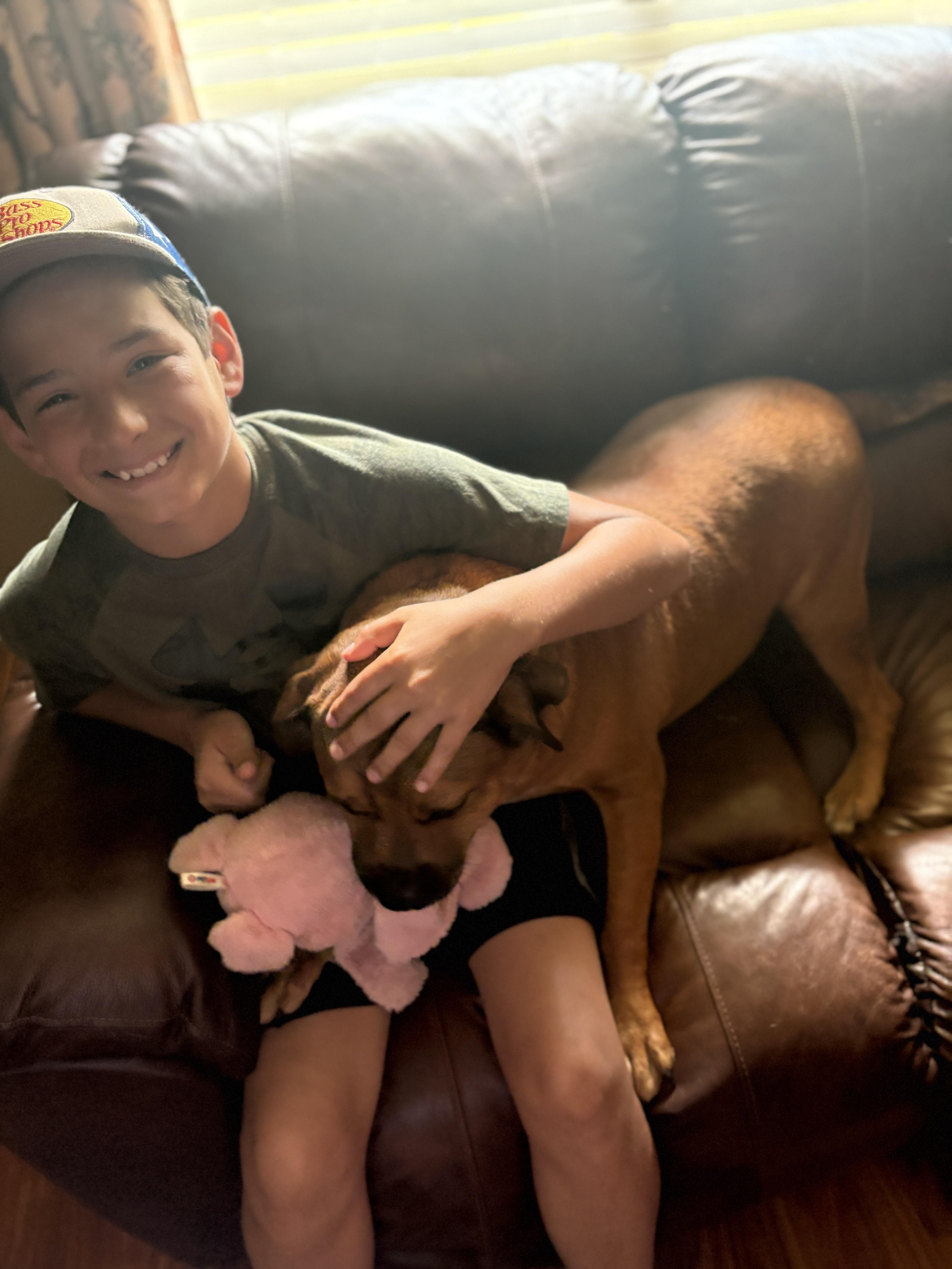 Willie, an adoptable Boxer in Ball, LA, 71405 | Photo Image 3