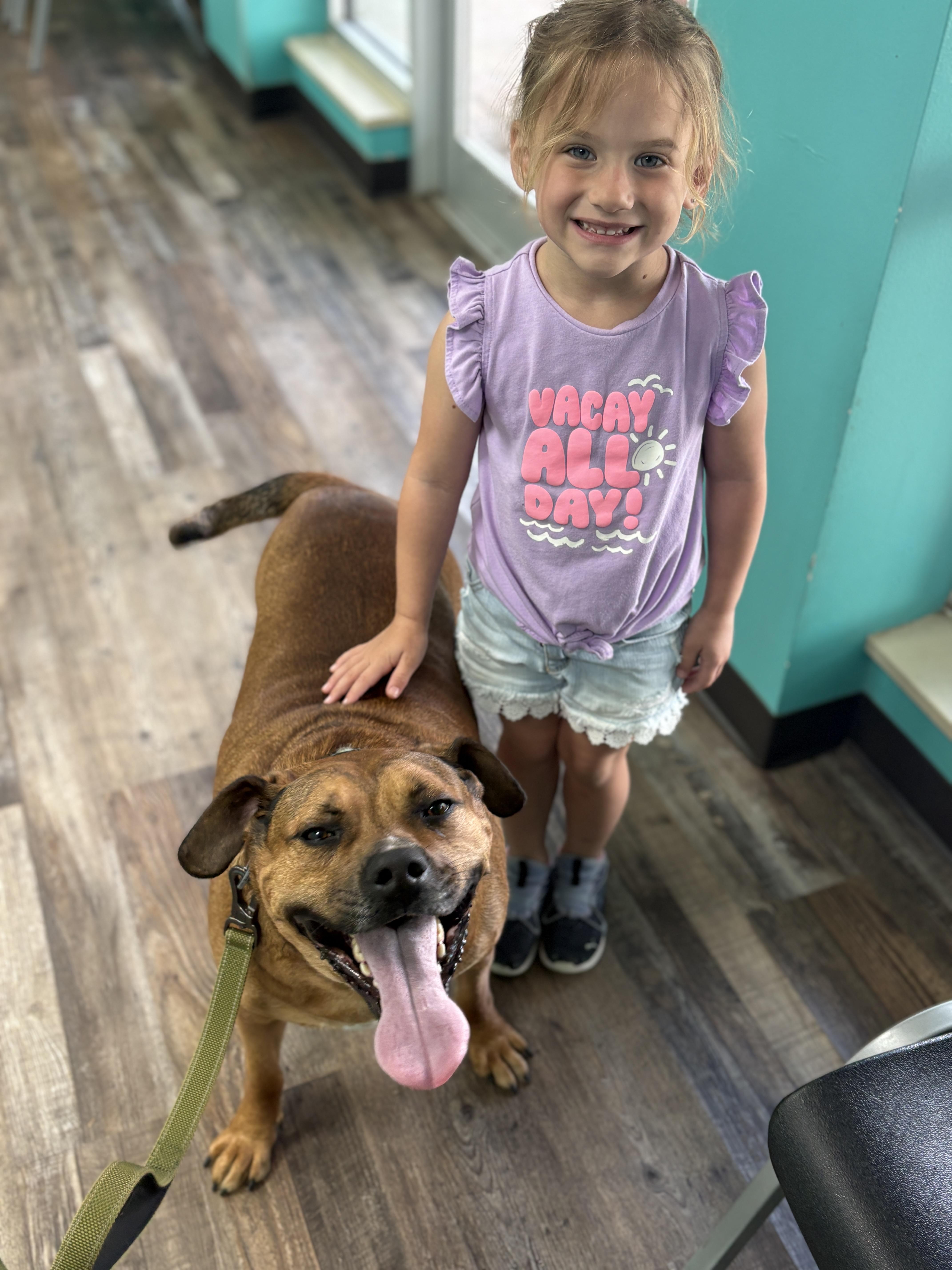 Enlarge Willie, a Adoptable mixed breed in Ball, LA image 5/6