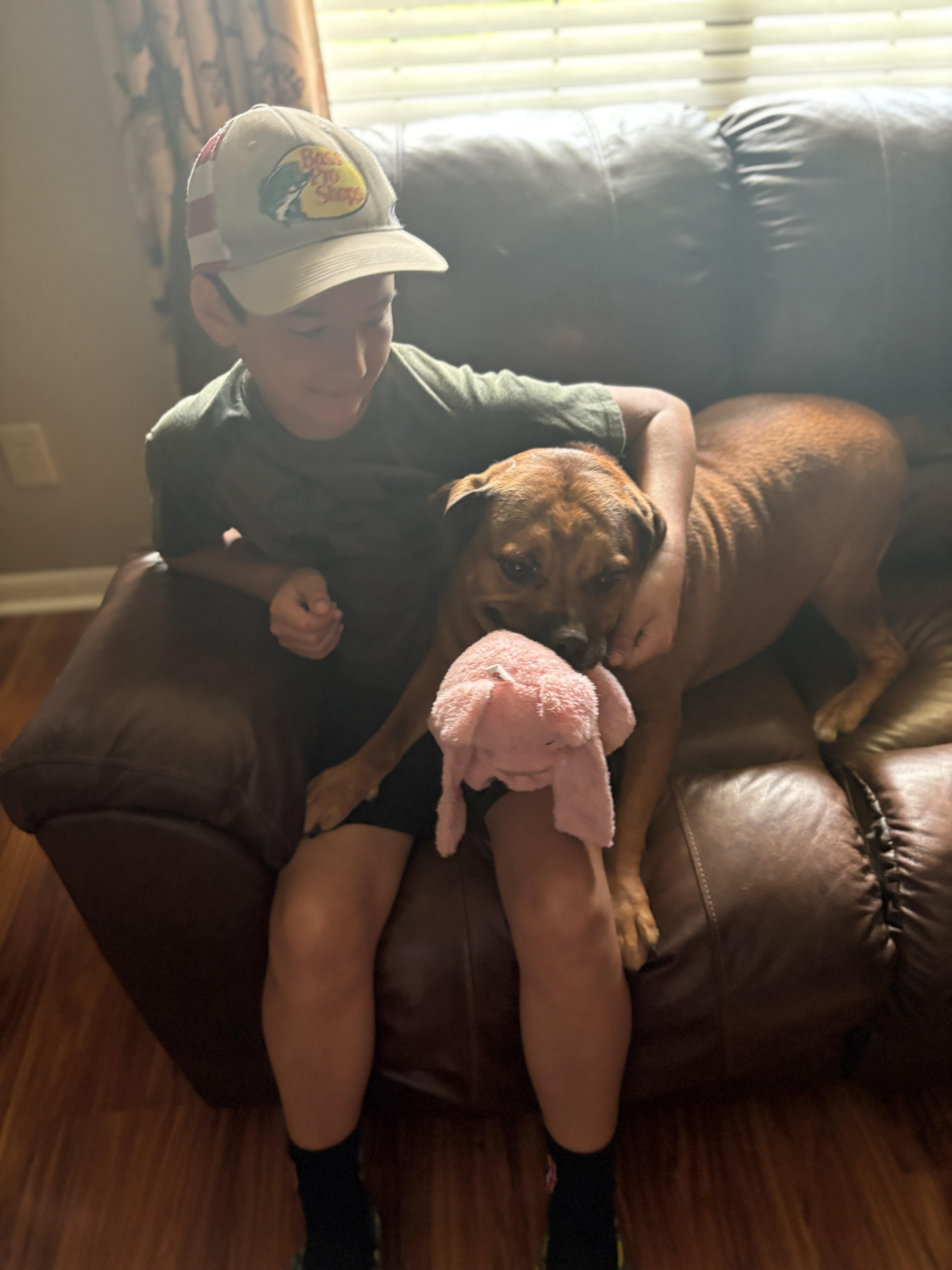 Willie, a Adoptable mixed breed in Ball, LA image 4/5