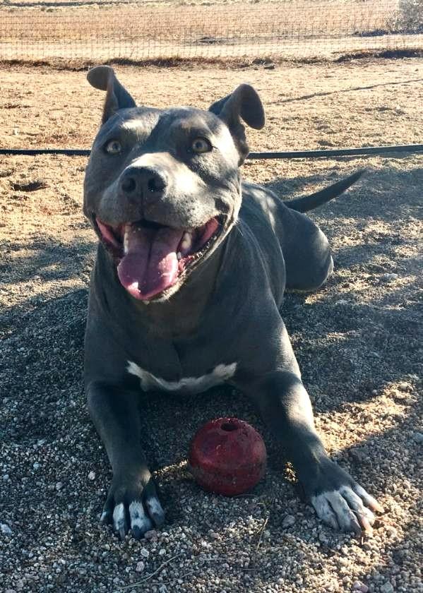 Cordelia — thumbnail 2