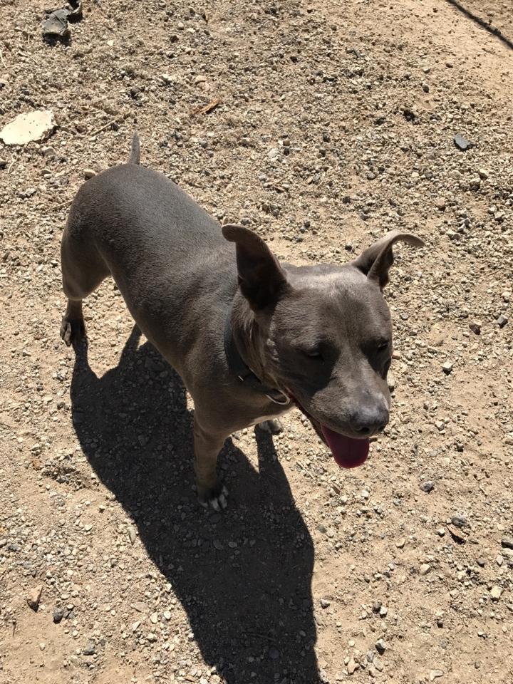 Cordelia — thumbnail 5