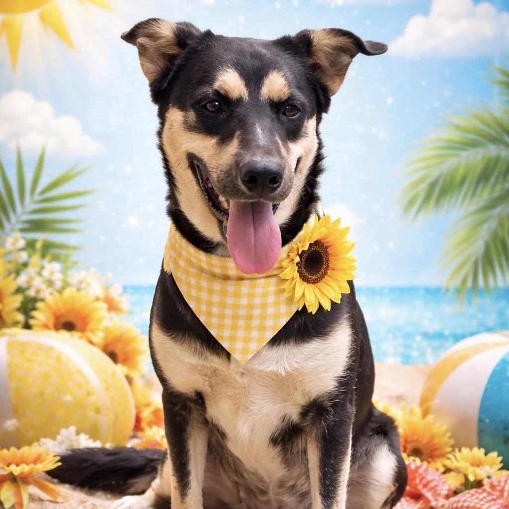 Sunni (20250430-02) — thumbnail 2