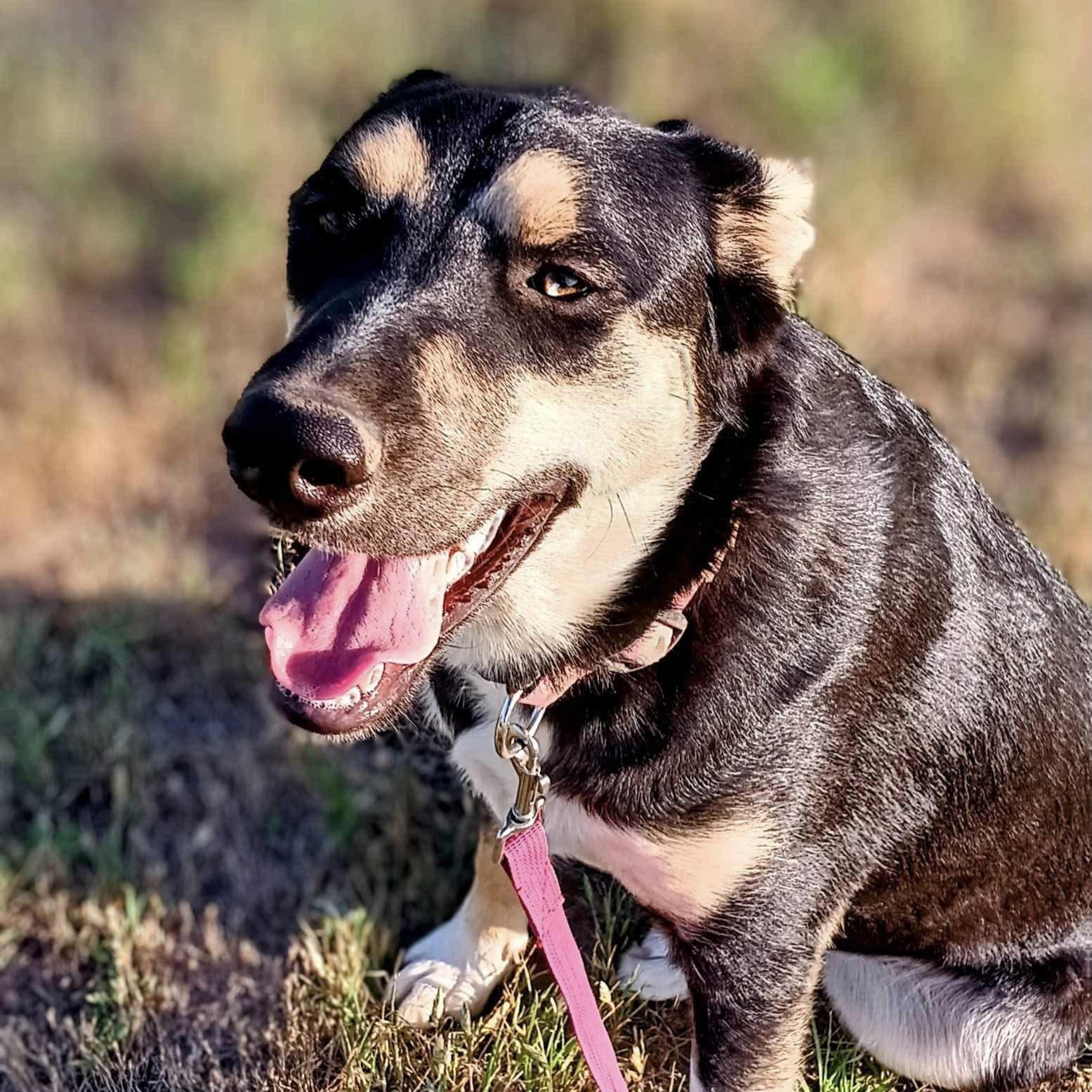 Sunni (20250430-02) — thumbnail 3