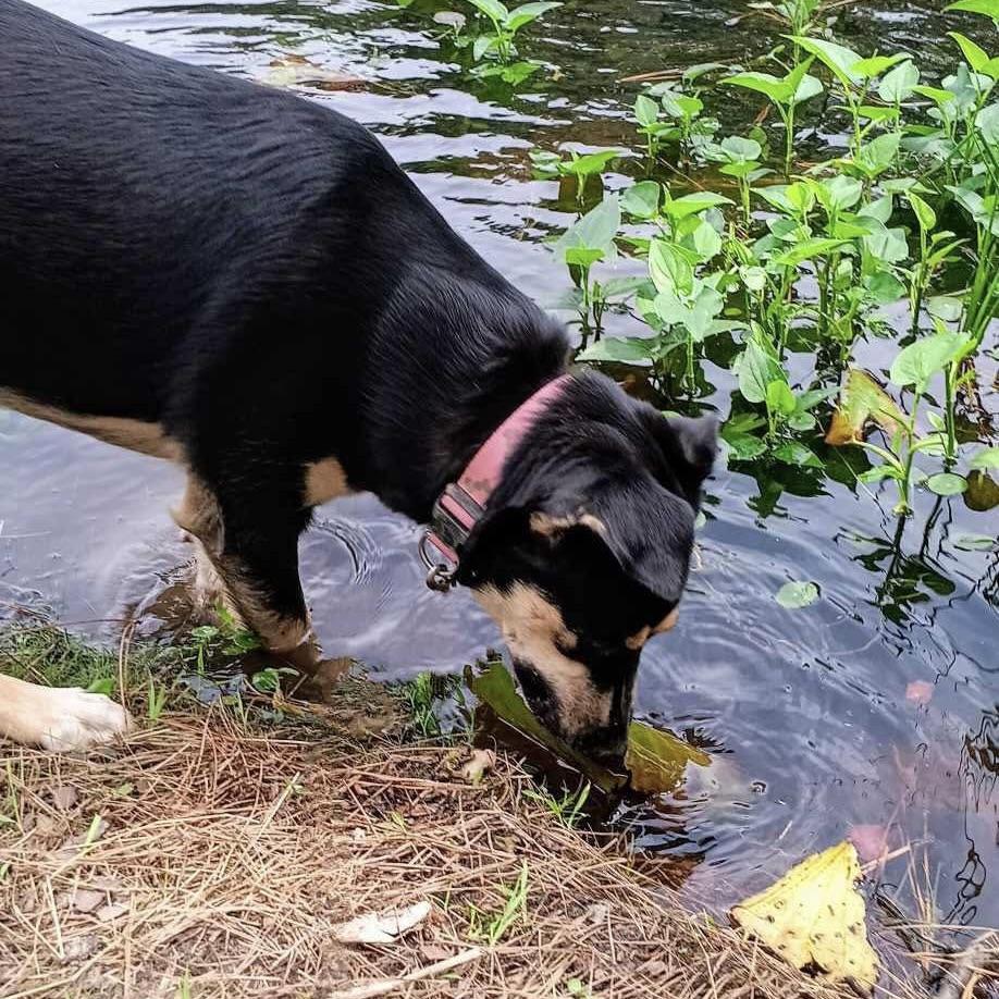 Sunni (20250430-02) — thumbnail 4