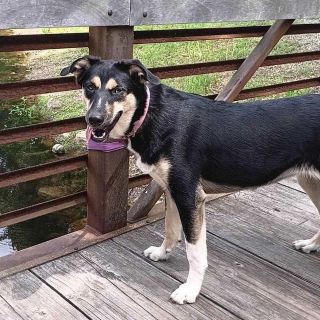 Sunni (20250430-02) — thumbnail 5