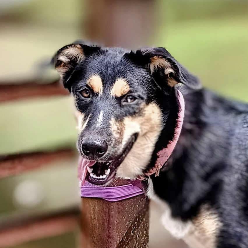 Sunni (20250430-02) — thumbnail 6