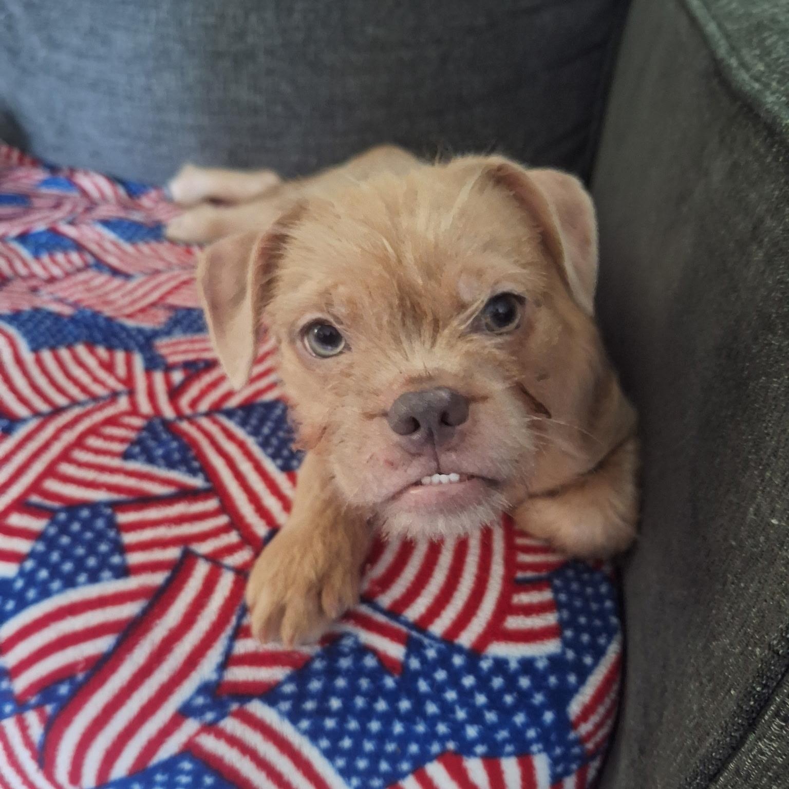 Frannie photo 1