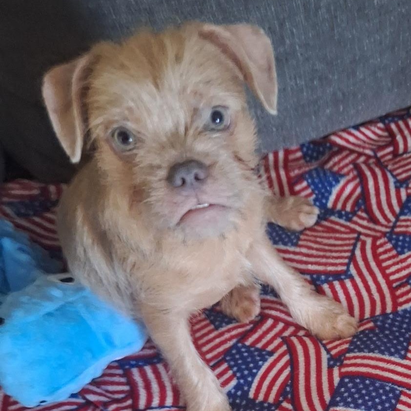 Frannie thumbnail 5