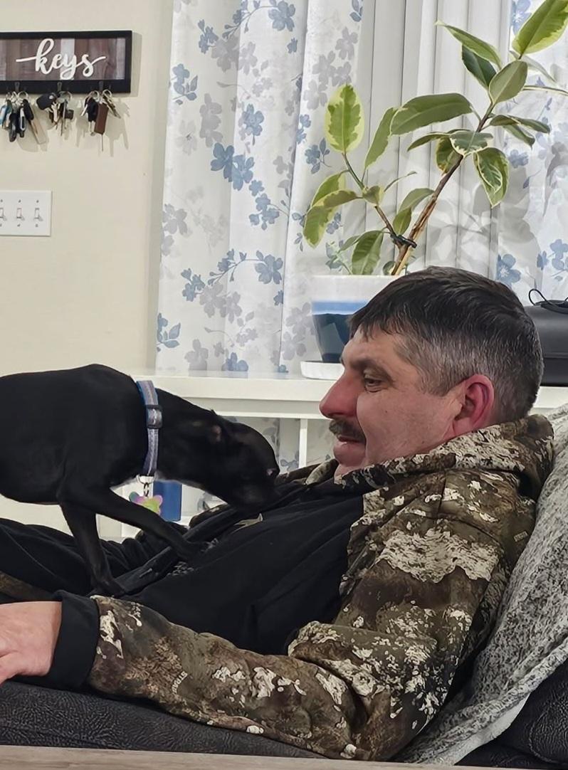 Enlarge Mighty Mouse, a ADOPTABLE mixed breed in Roseburg, OR image 5/6