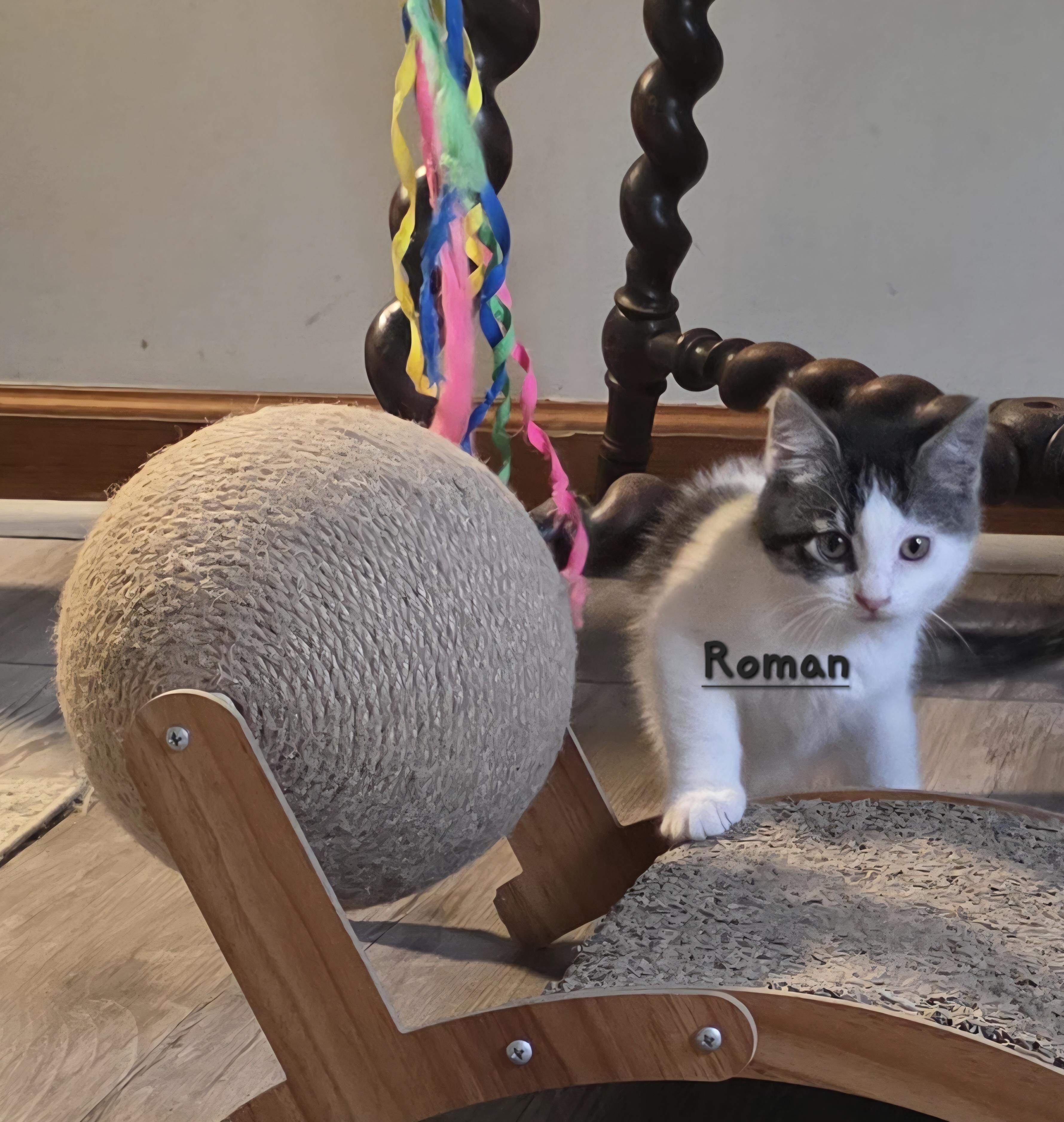 Roman thumbnail 2
