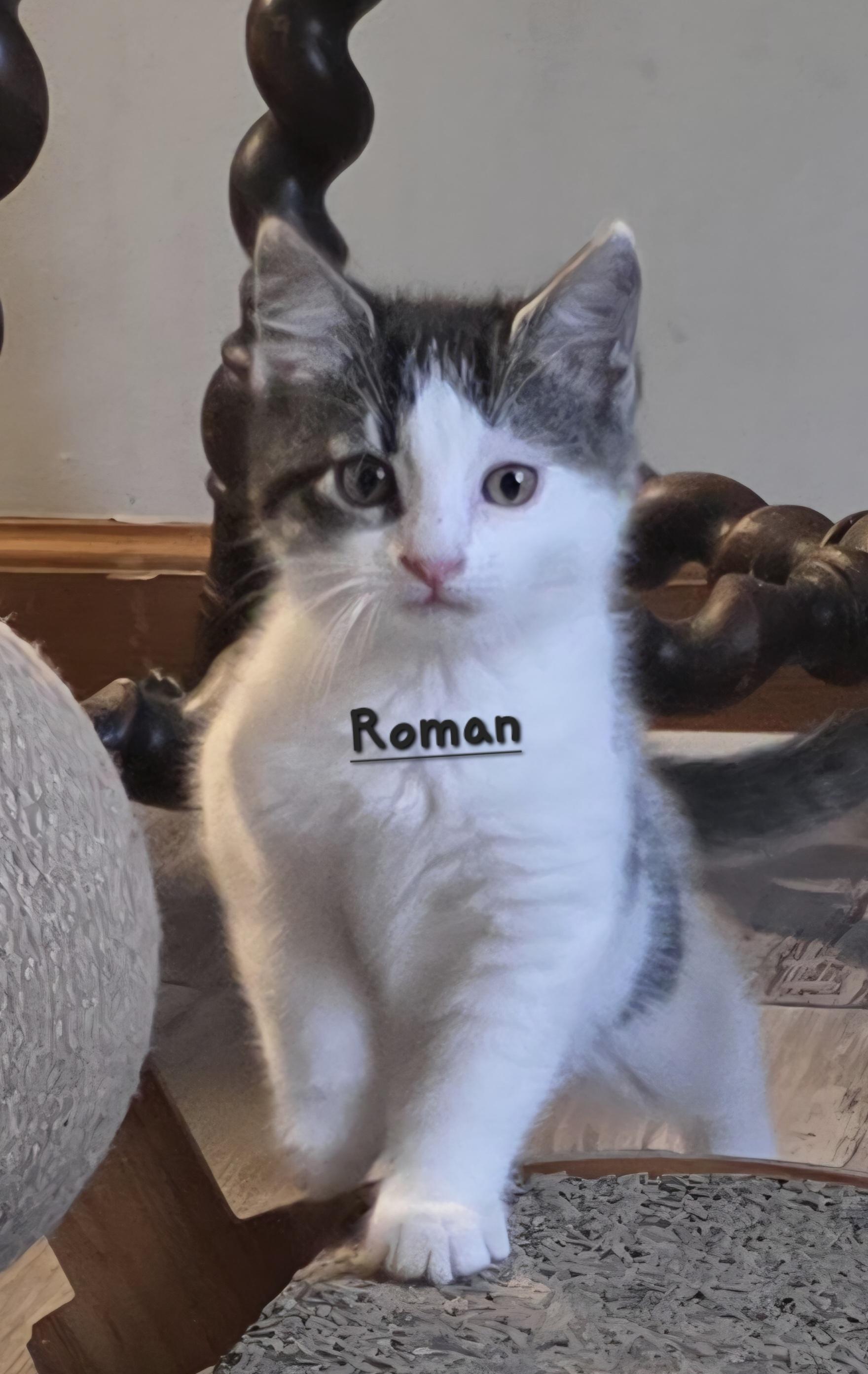 Roman photo 1