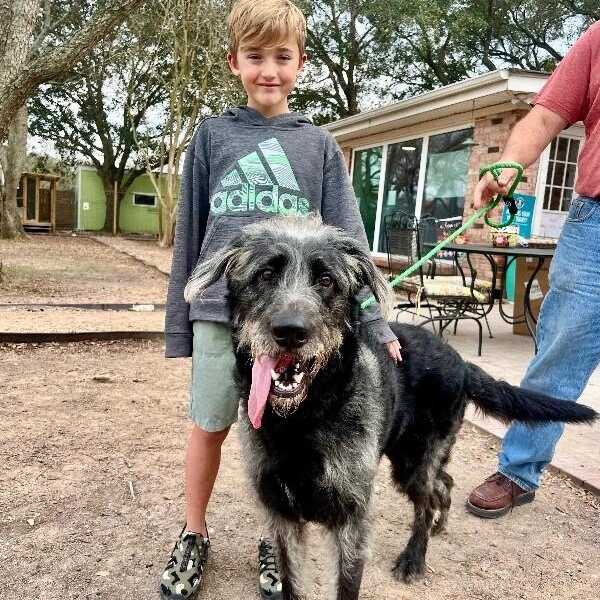 Bo Grogan Stop Scrolling Look At The Mohawk