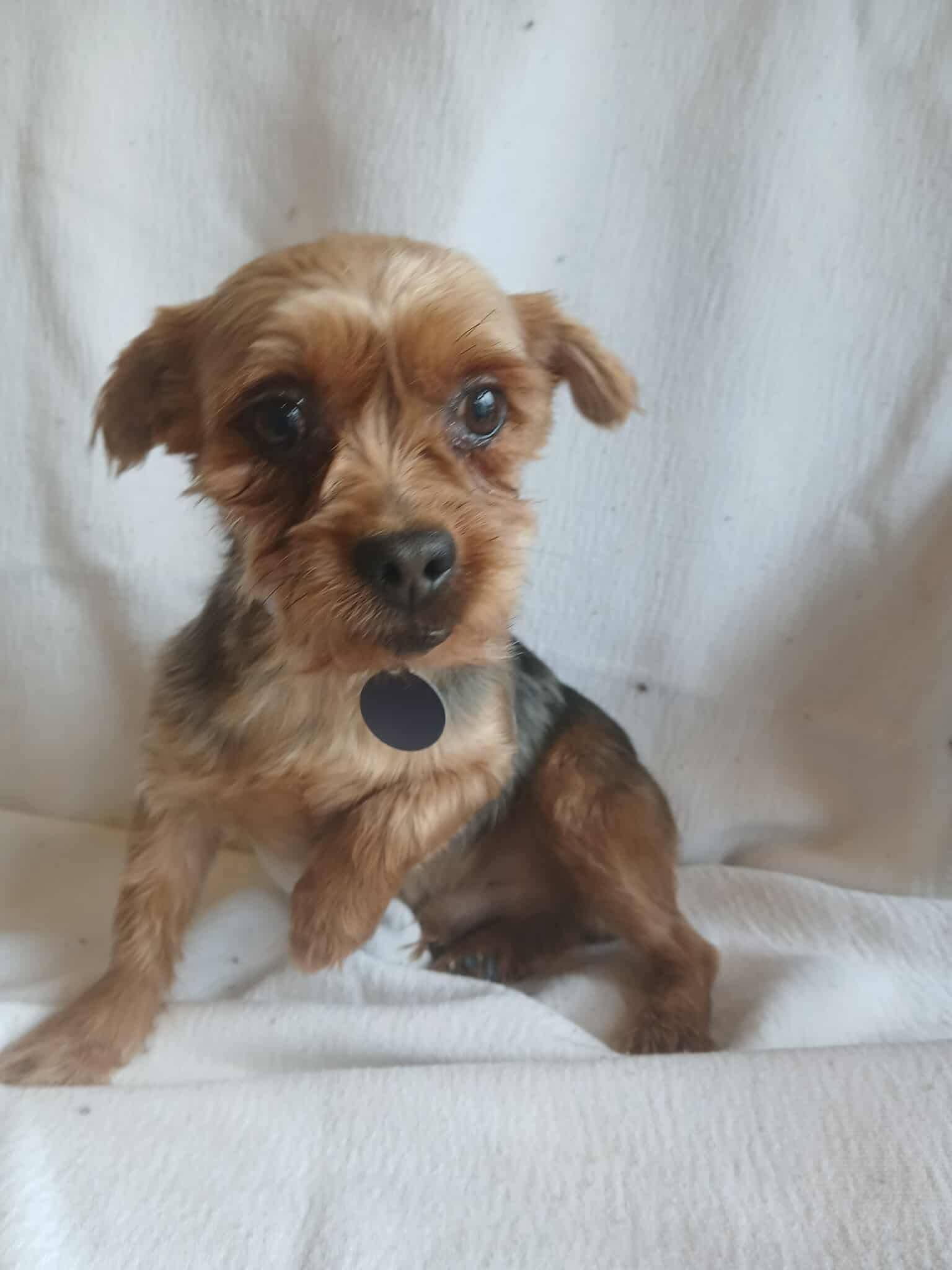Benson