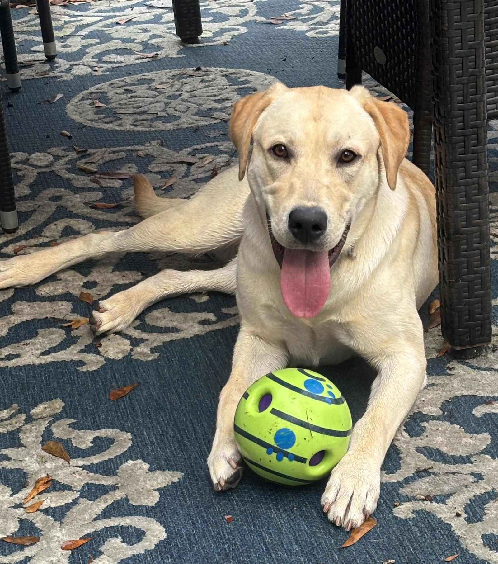 Max Jeremy thumbnail 2