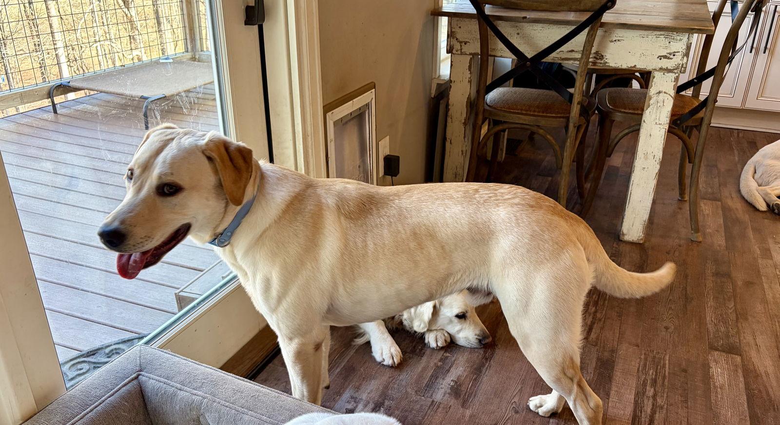 Max Jeremy thumbnail 3