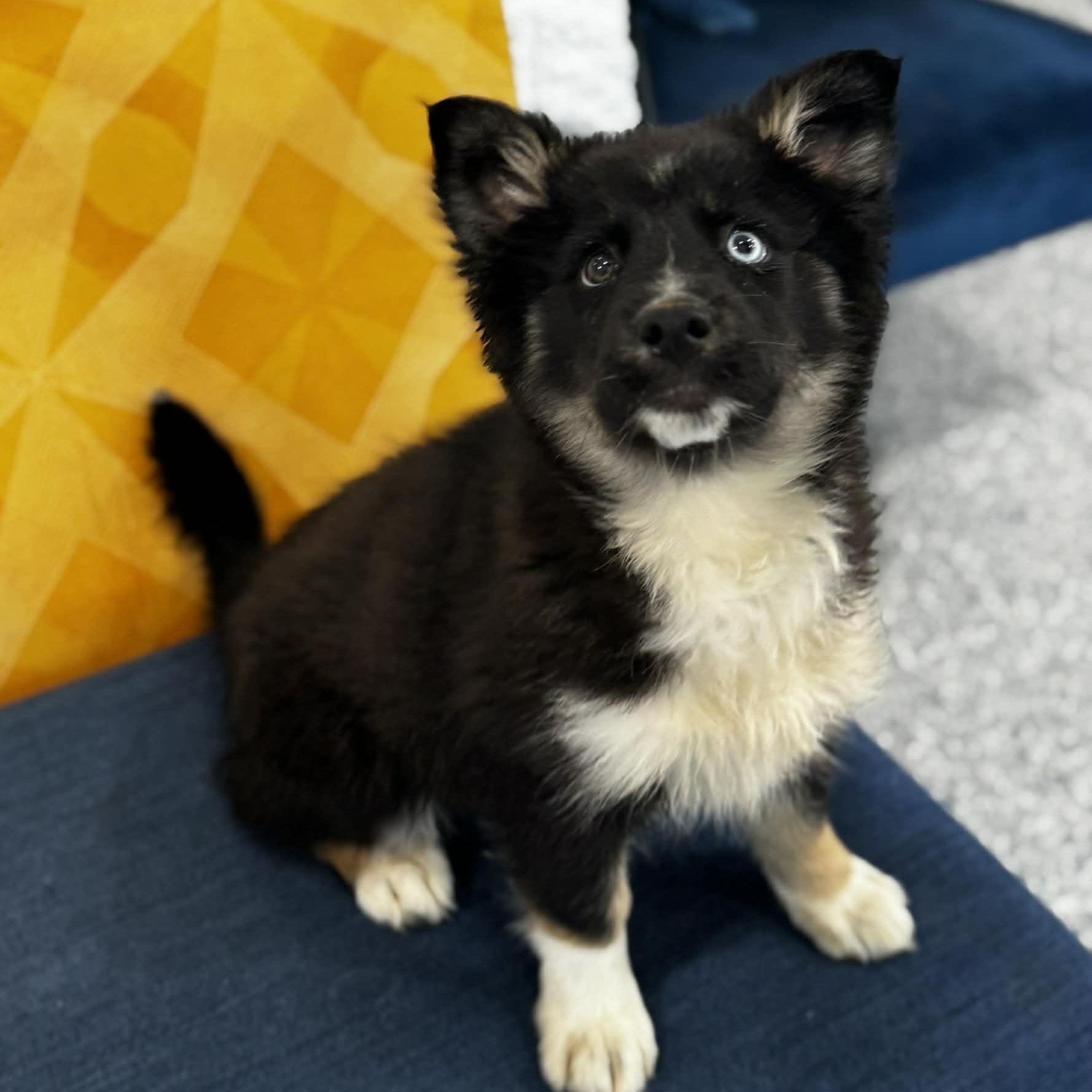 Breezy — thumbnail 2