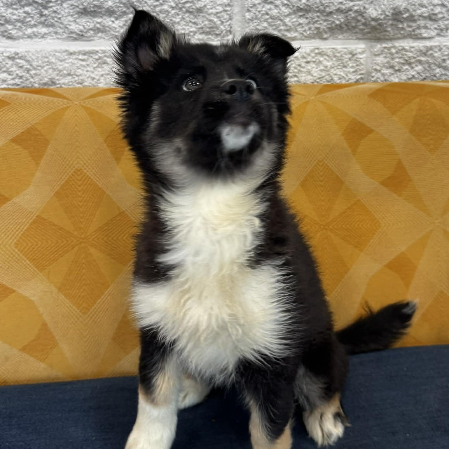 Breezy — thumbnail 3