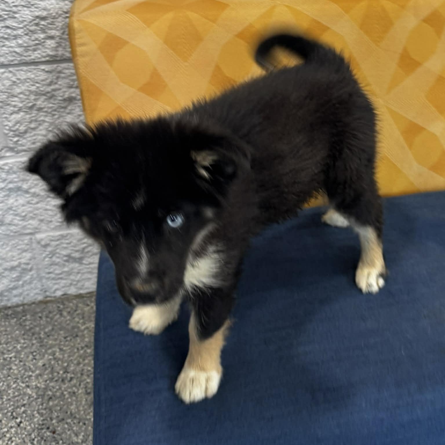 Breezy — thumbnail 4