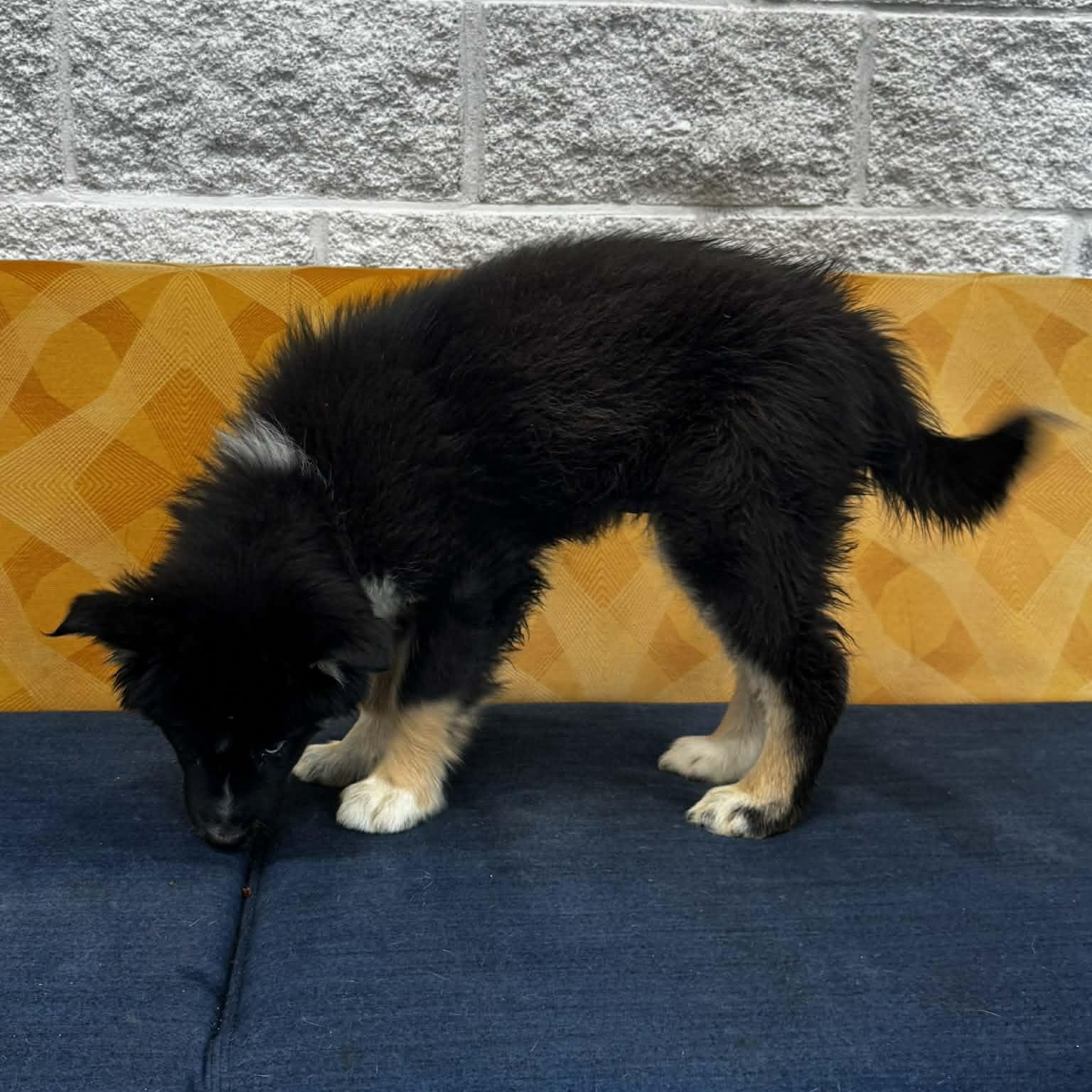 Breezy — thumbnail 5