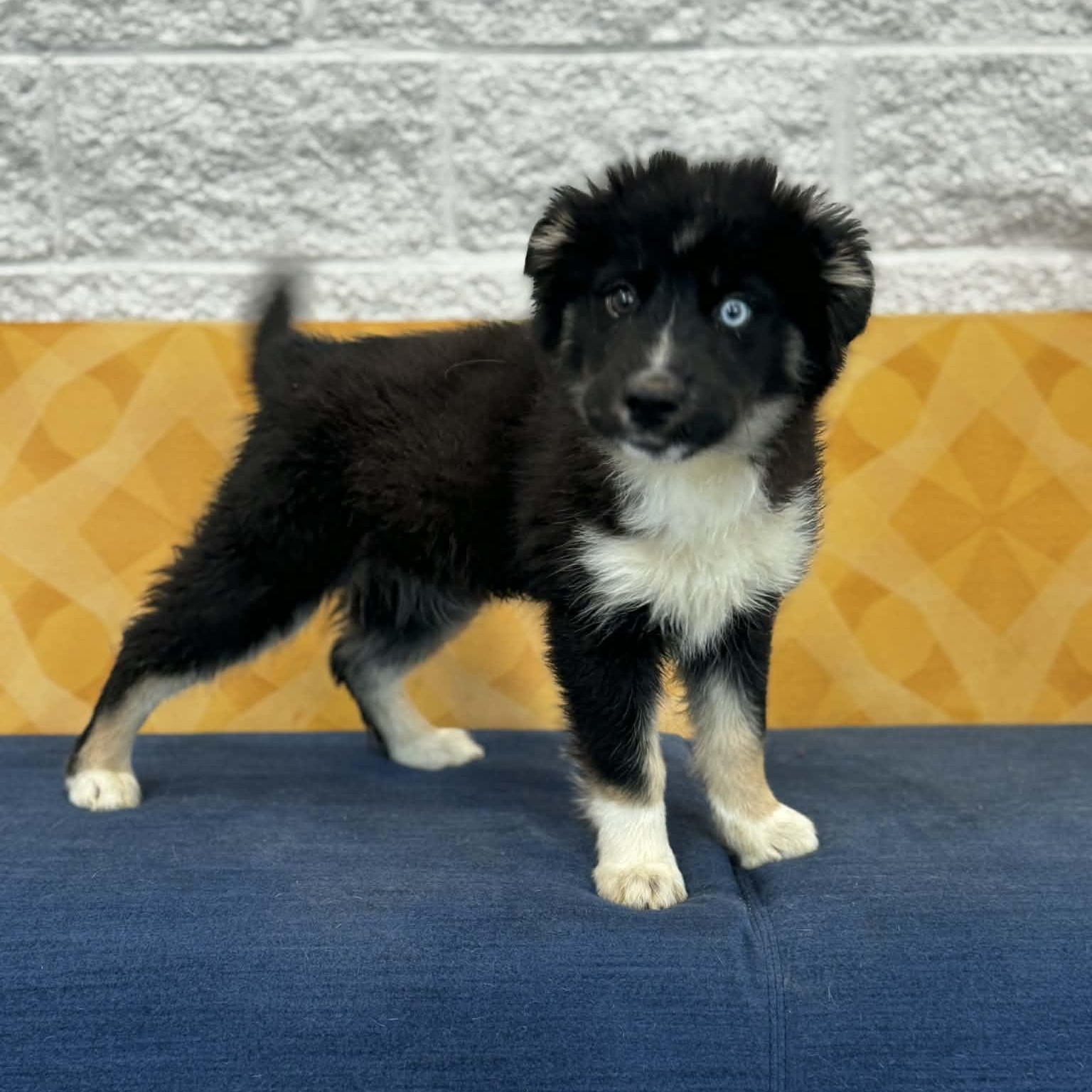 Breezy — thumbnail 6