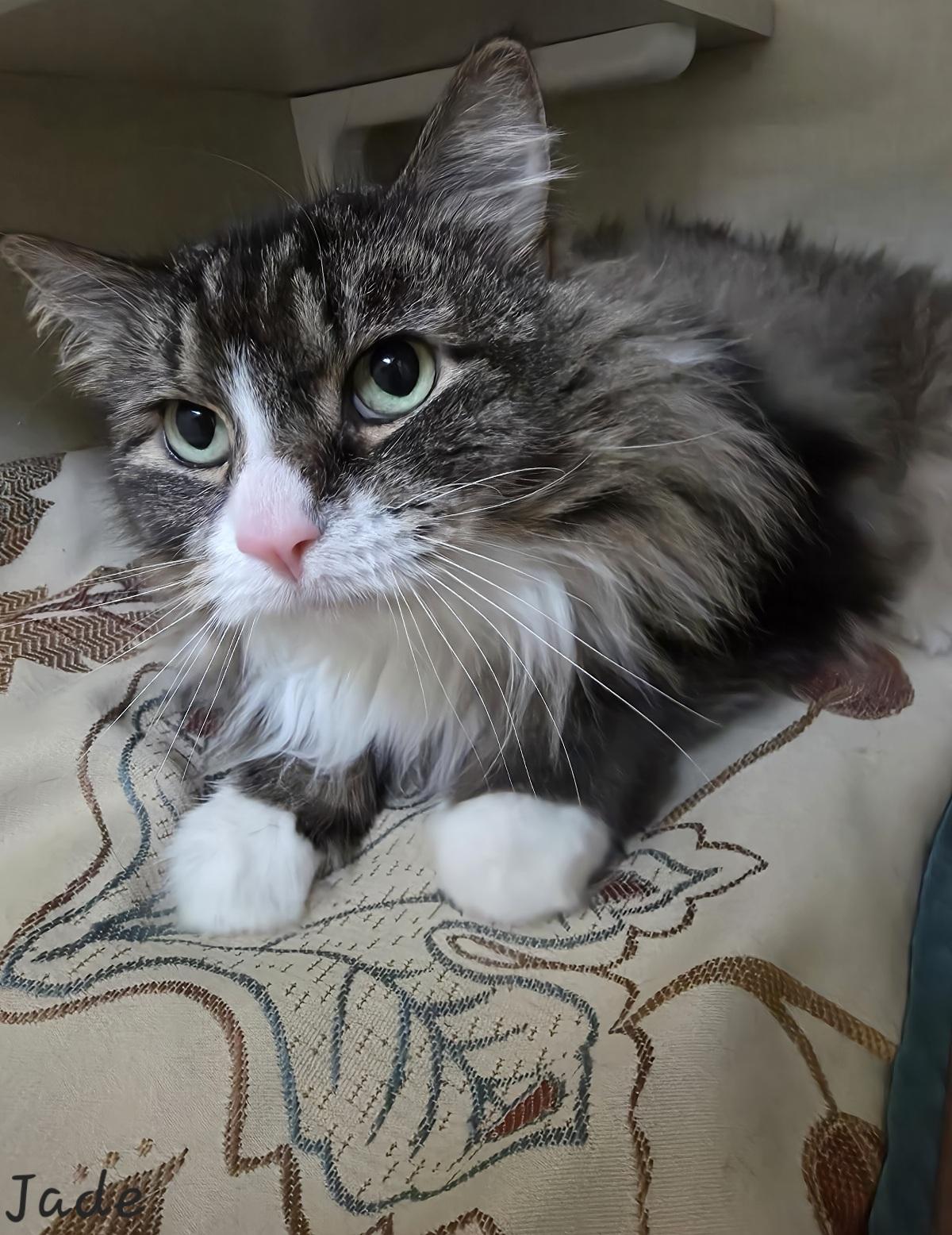 Jade