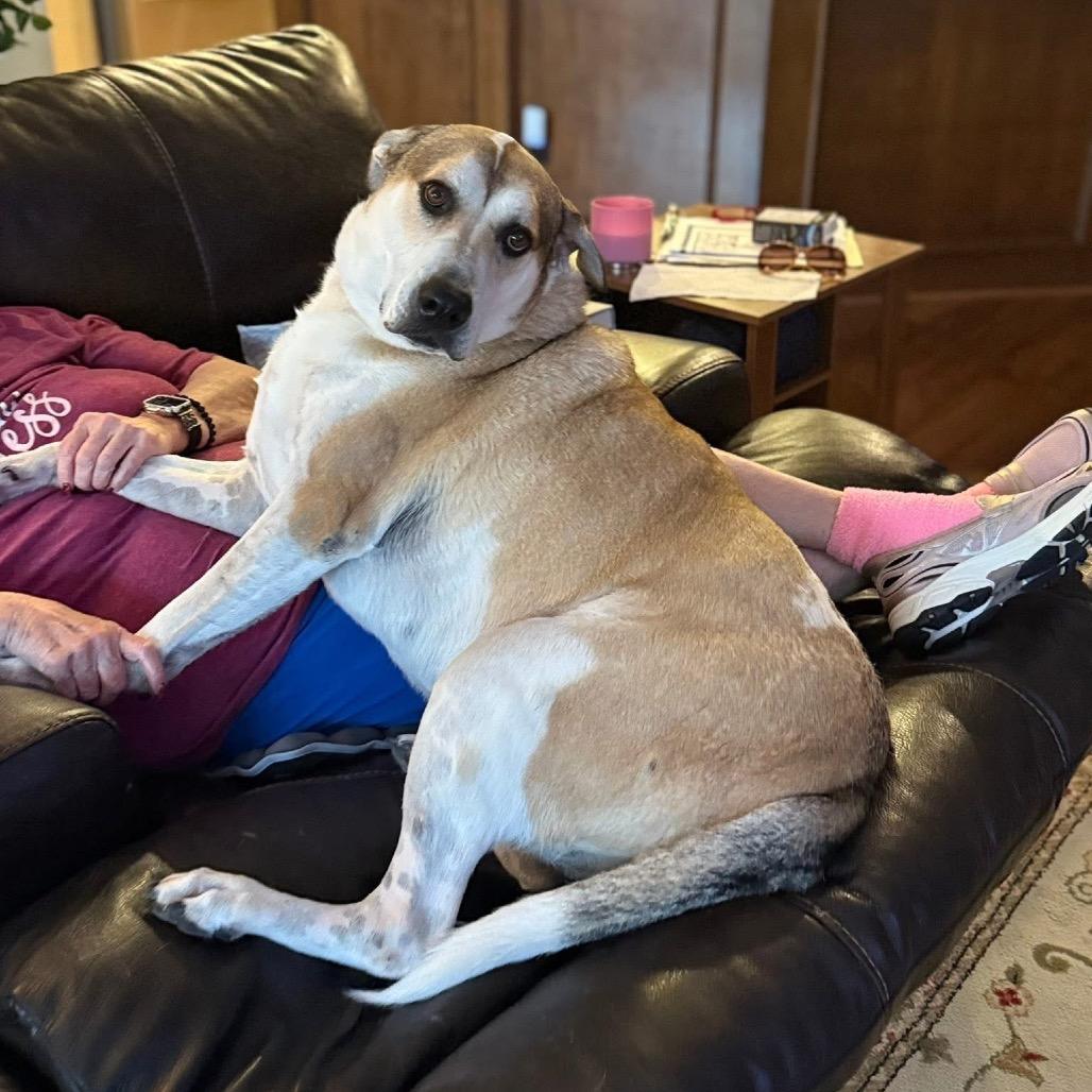 Lexi — thumbnail 2