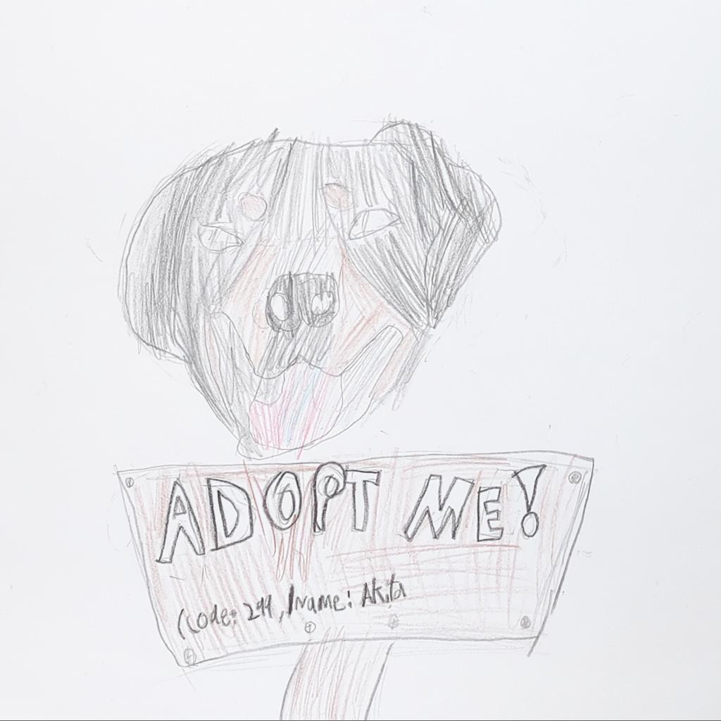 Akita — thumbnail 2