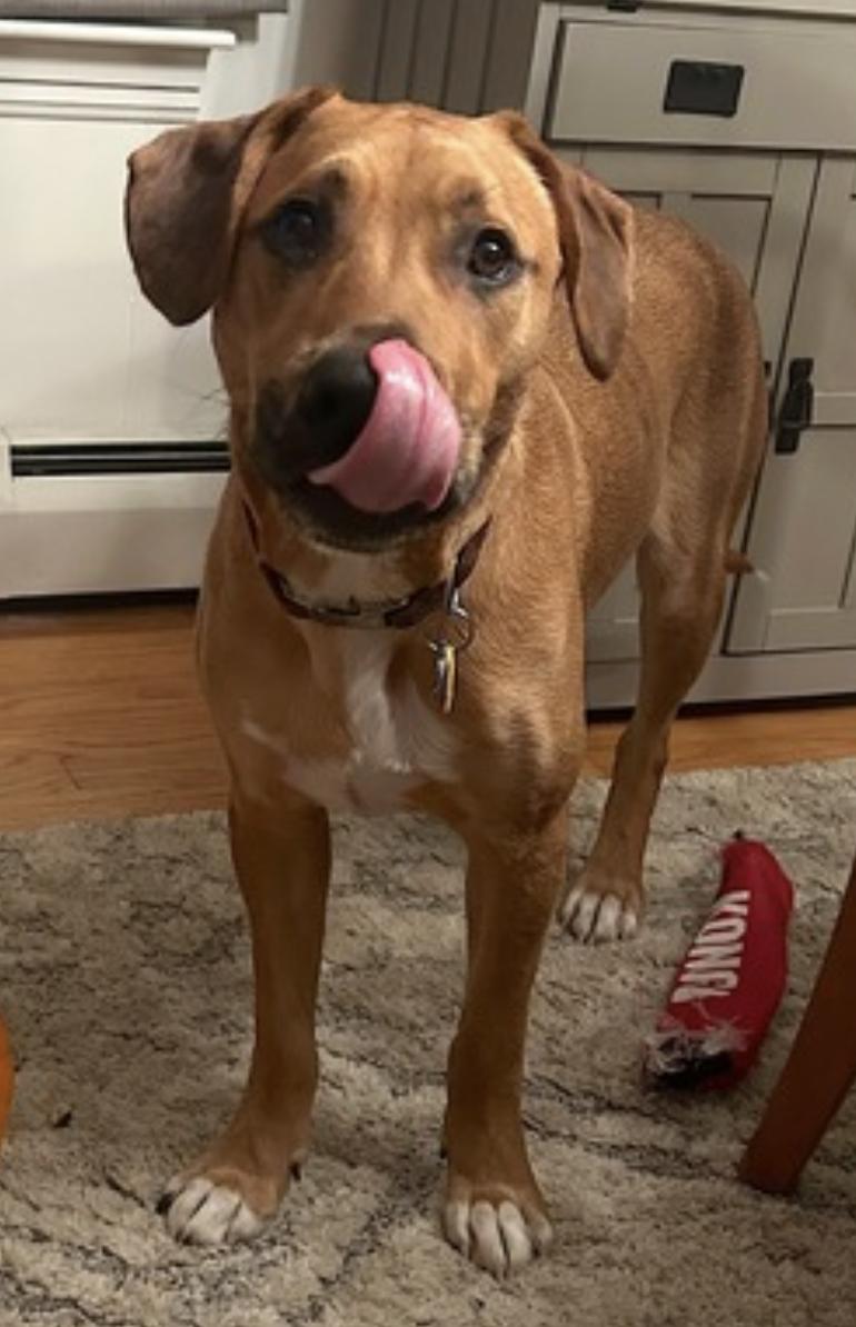 Murphy — thumbnail 2