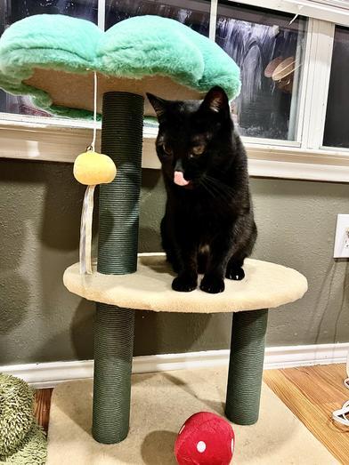 Lucy — thumbnail 5