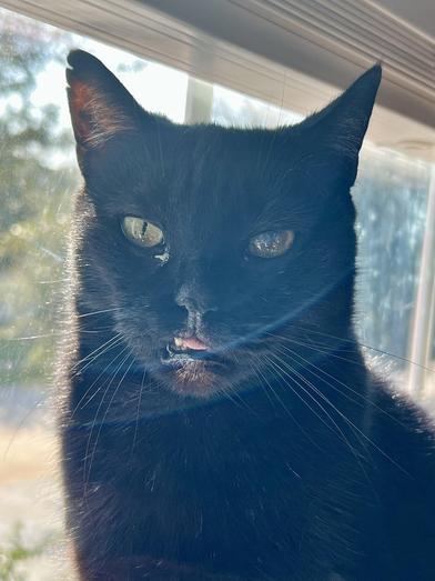 Lucy — thumbnail 6