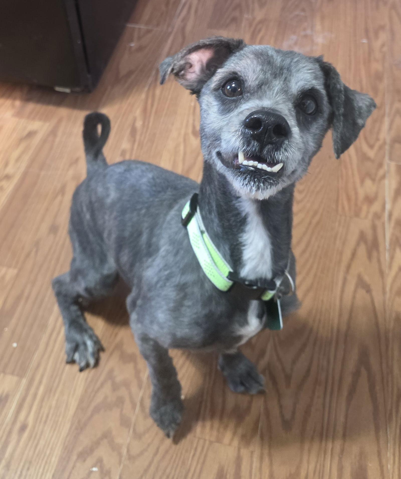 Marley — thumbnail 3