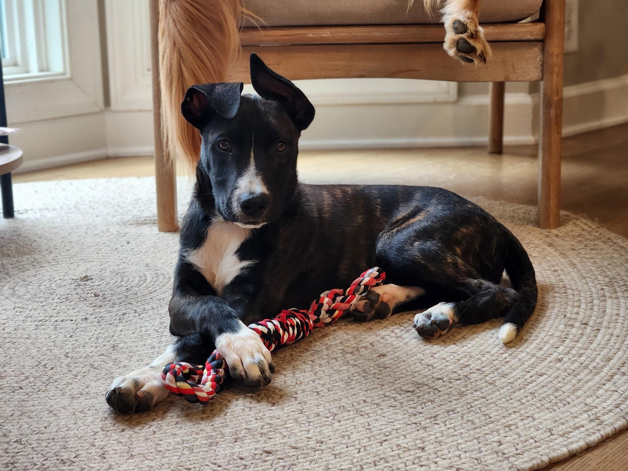 Lady Margaret “Maggie”