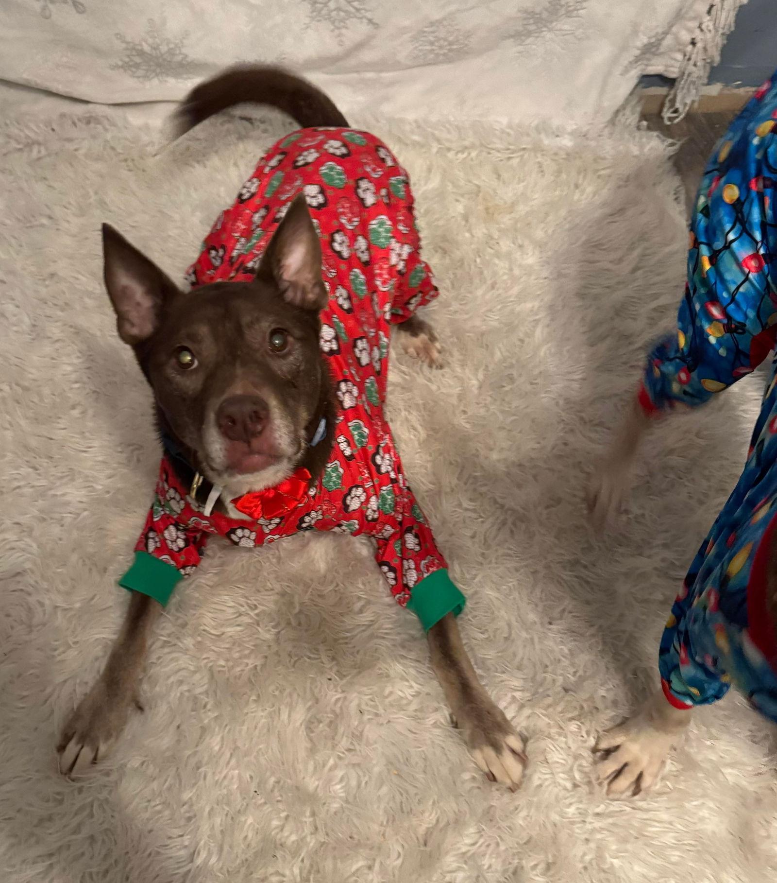 Maine And Virginia thumbnail 2