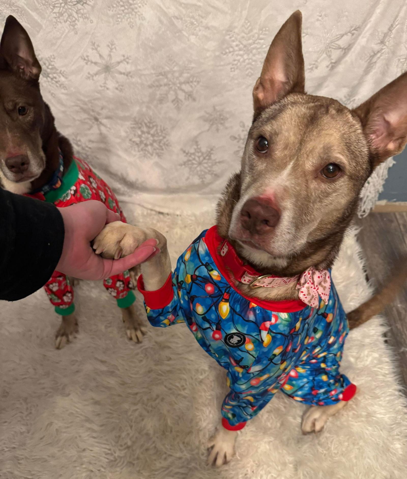 Maine And Virginia thumbnail 3