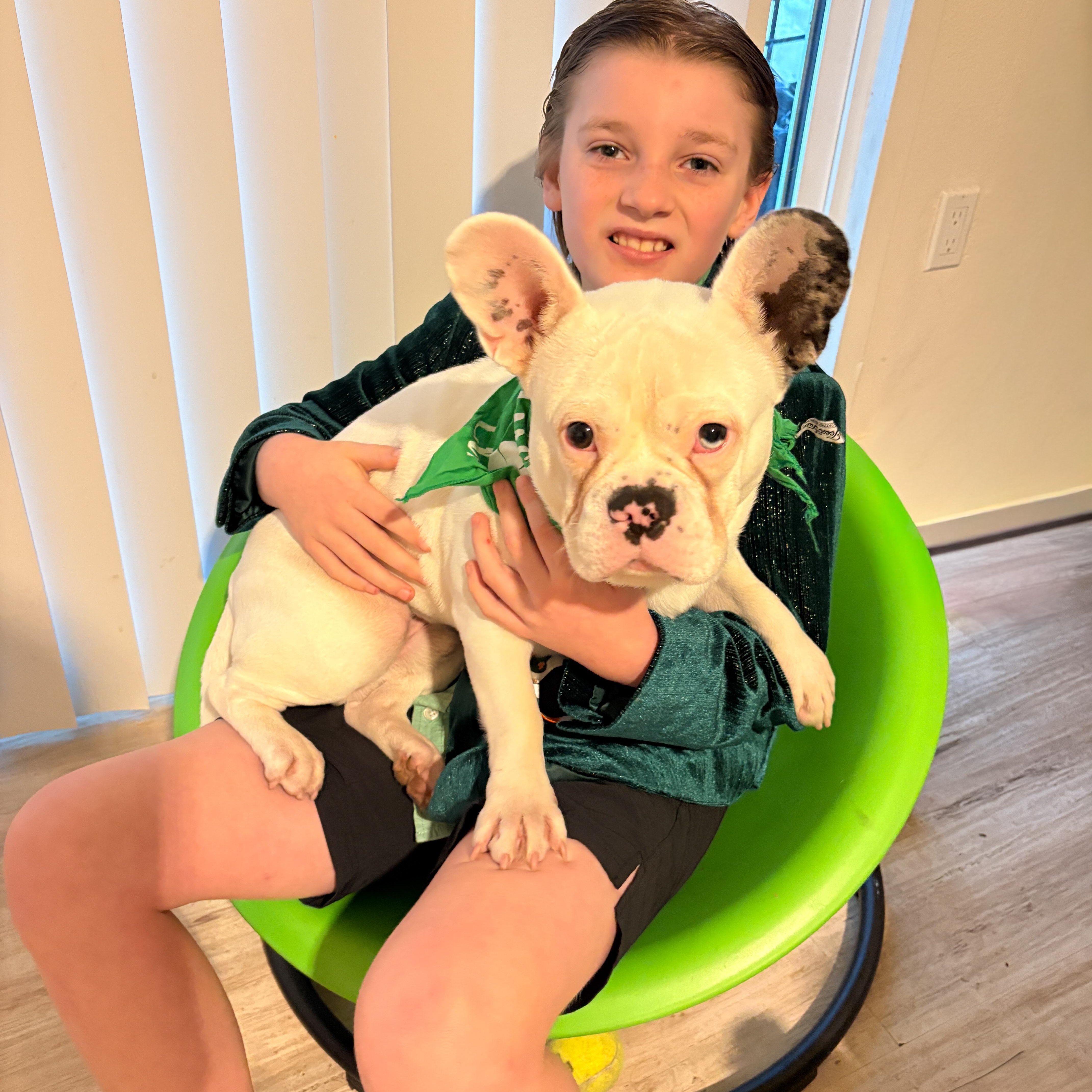 Enlarge Astro, a Adoptable mixed breed in Torrance, CA image 2/6