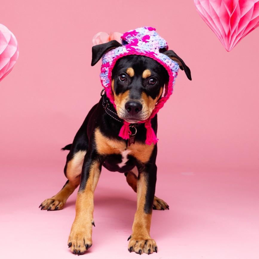 Trick — thumbnail 6