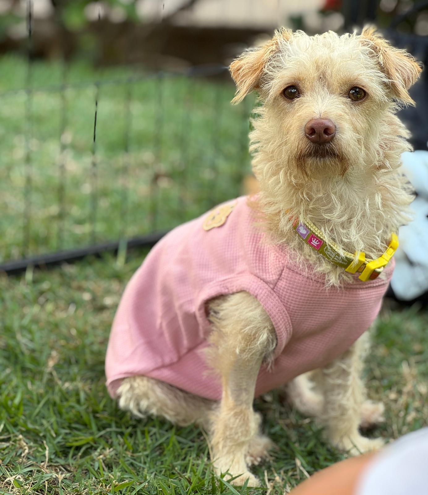 Areli — thumbnail 3