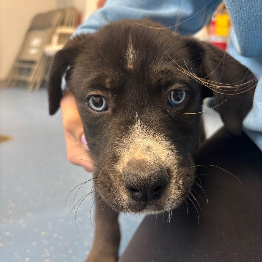 Eragon — thumbnail 2