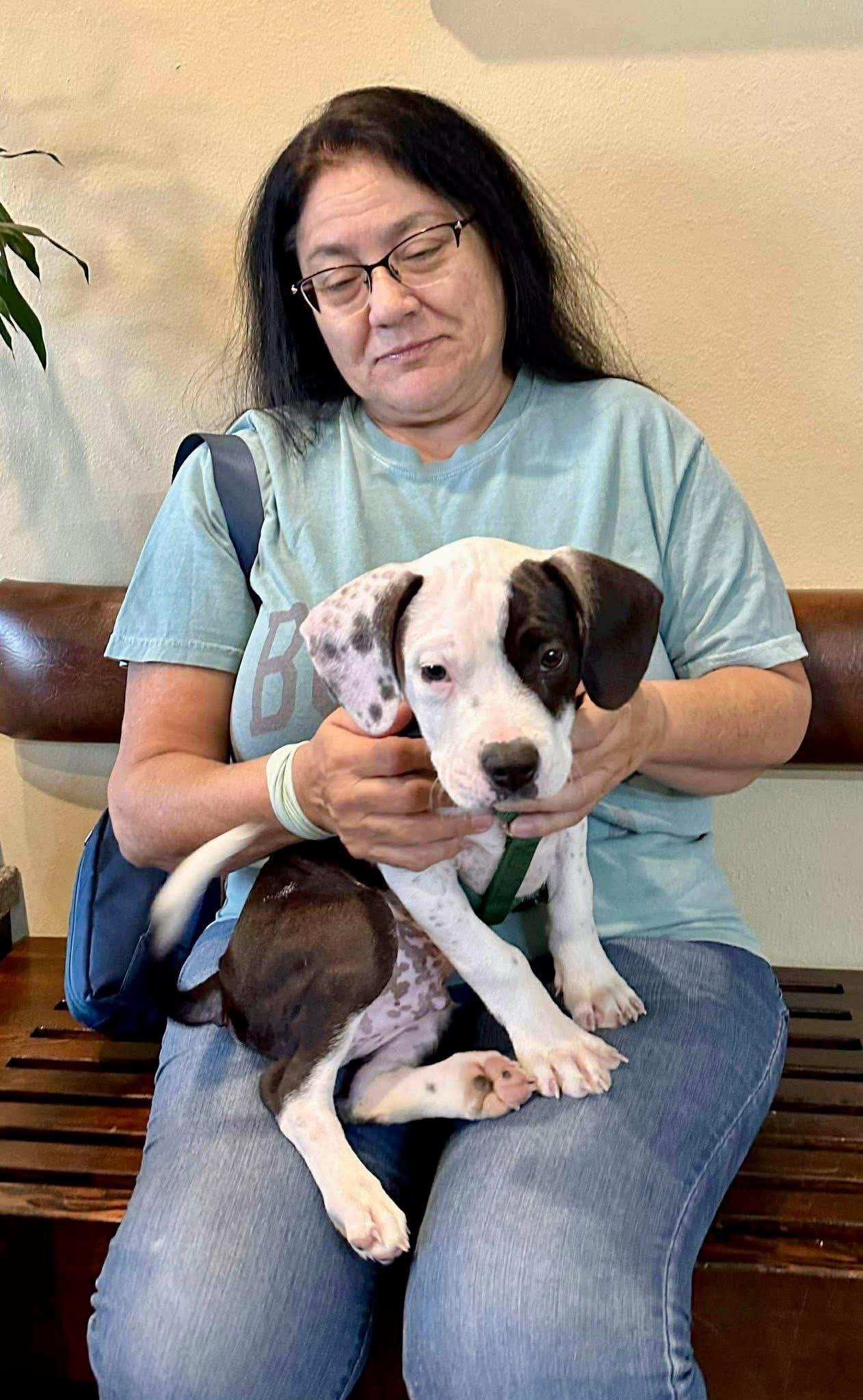 Snoopy, a Adoptable mixed breed image 4/5