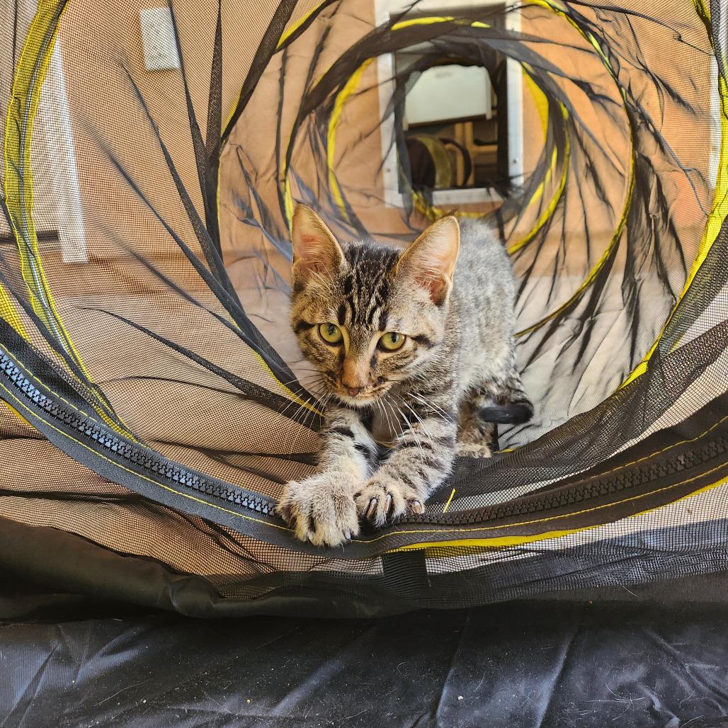 Slurpie — thumbnail 2