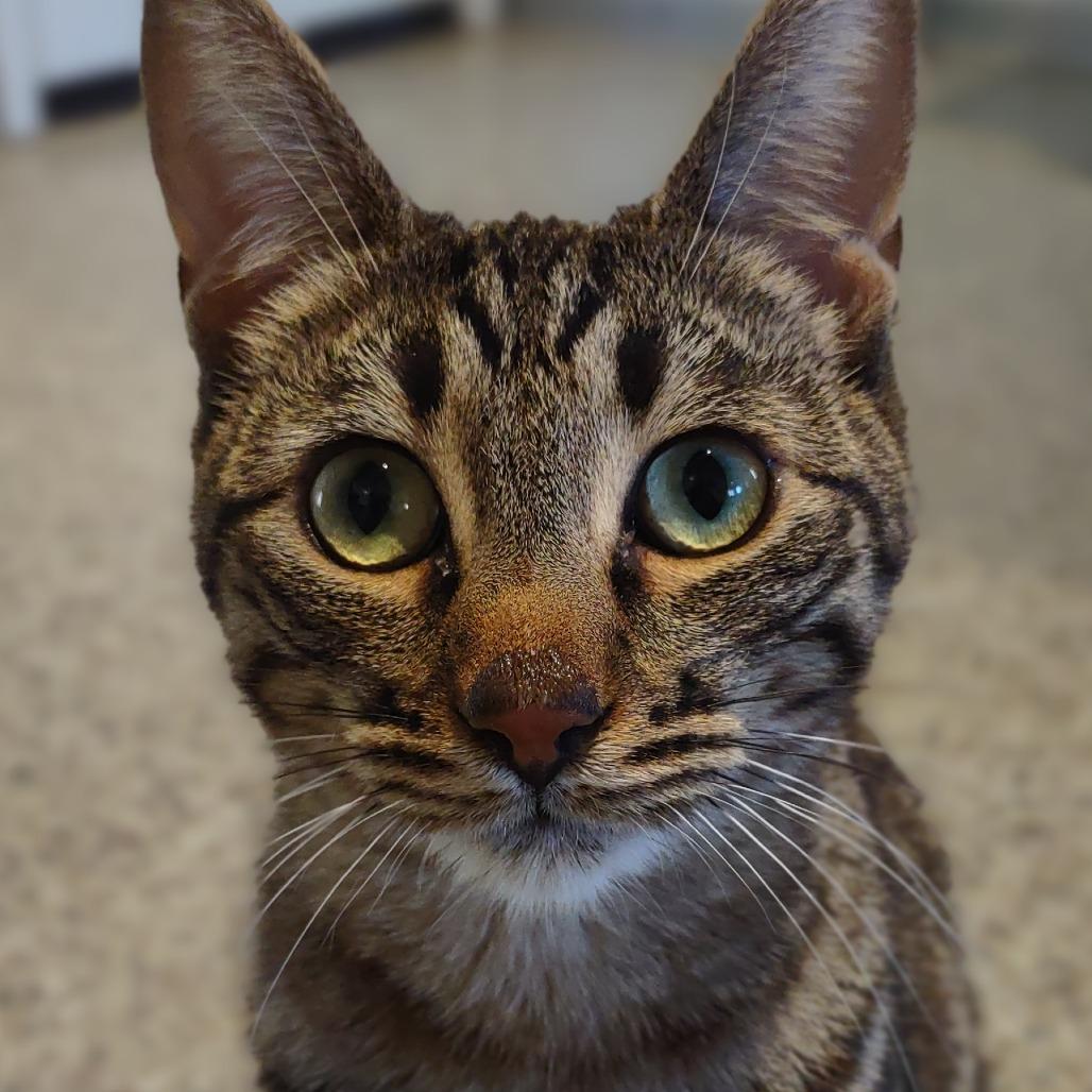 Slurpie — thumbnail 4