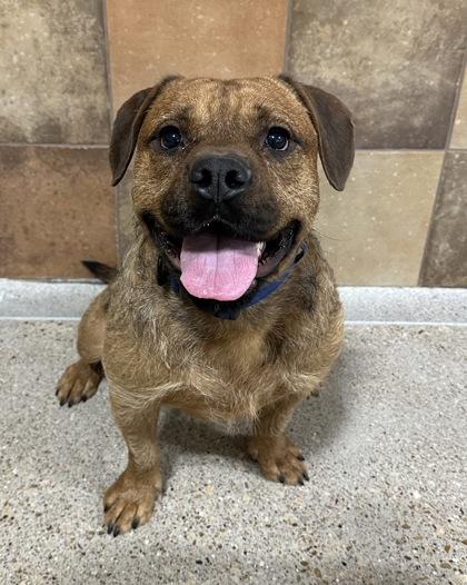 Miguel — thumbnail 2