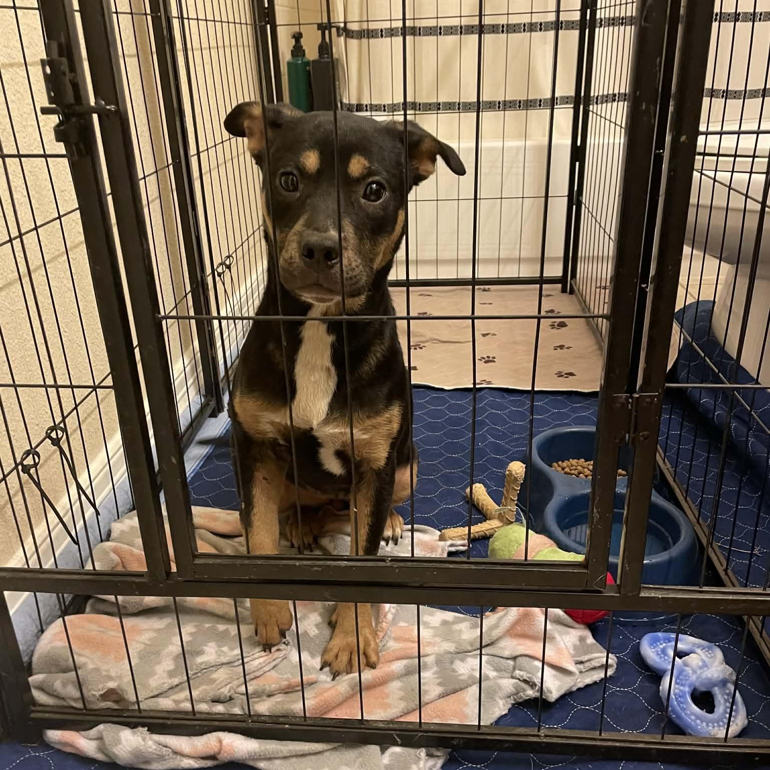 Athena — thumbnail 4