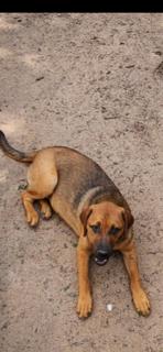 Twix photo 1
