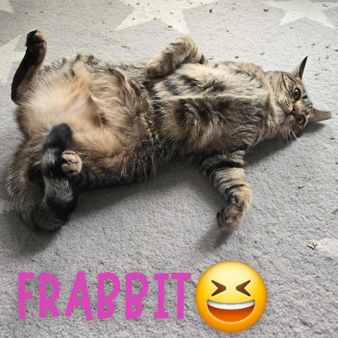 Frabbit *So sweet!
