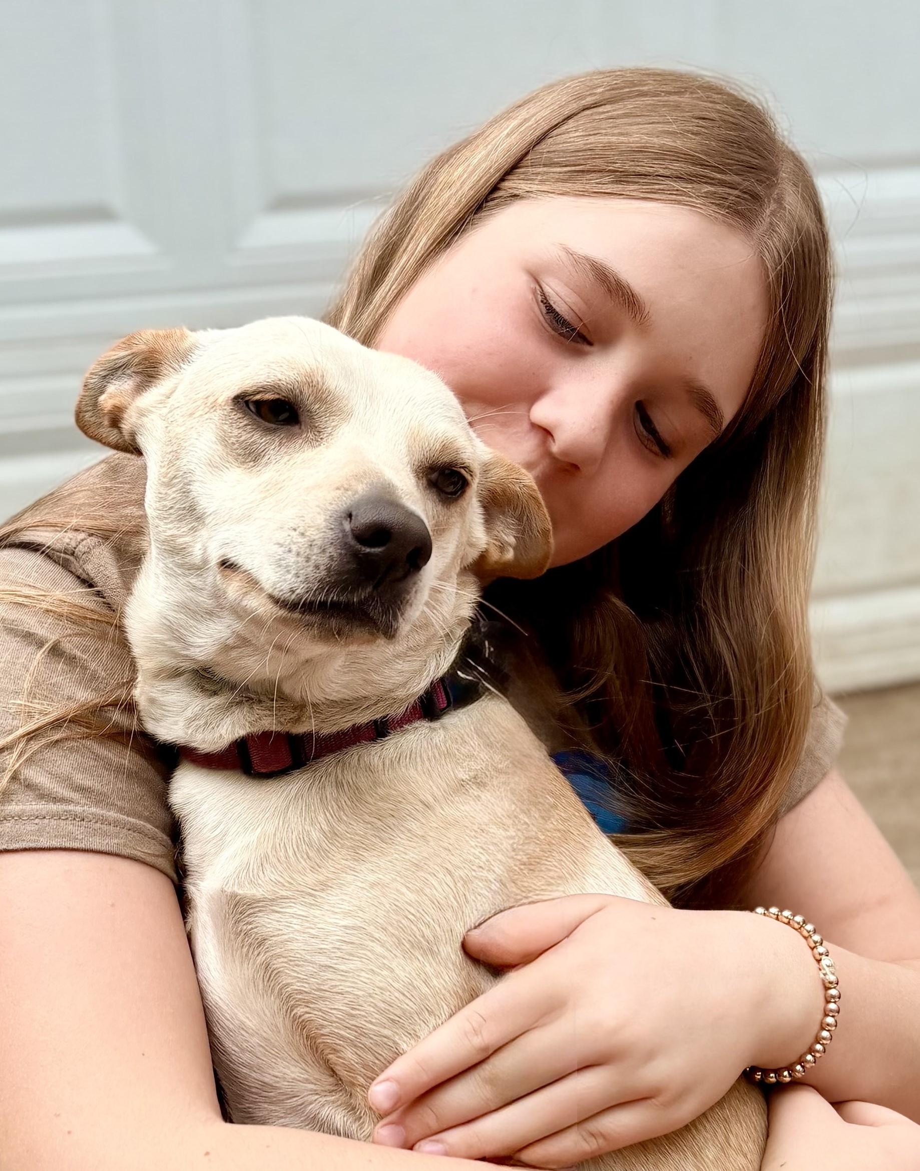 Enlarge Hazel , a Adoptable mixed breed in Saint Paul, MN image 2/6