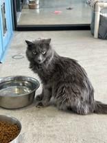 Winifred 1