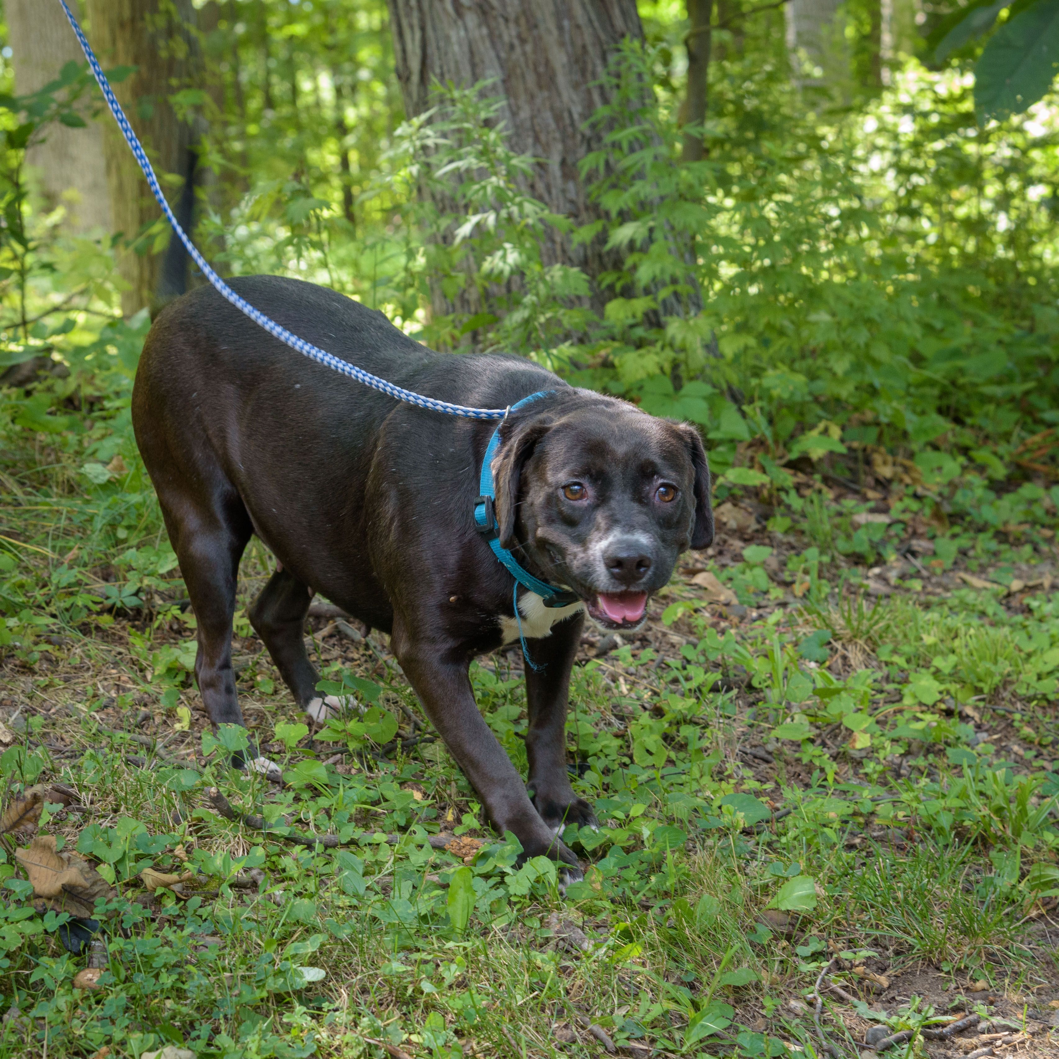 Jackie - CTS2025 photo 1